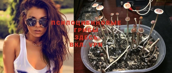 бутират Михайлов